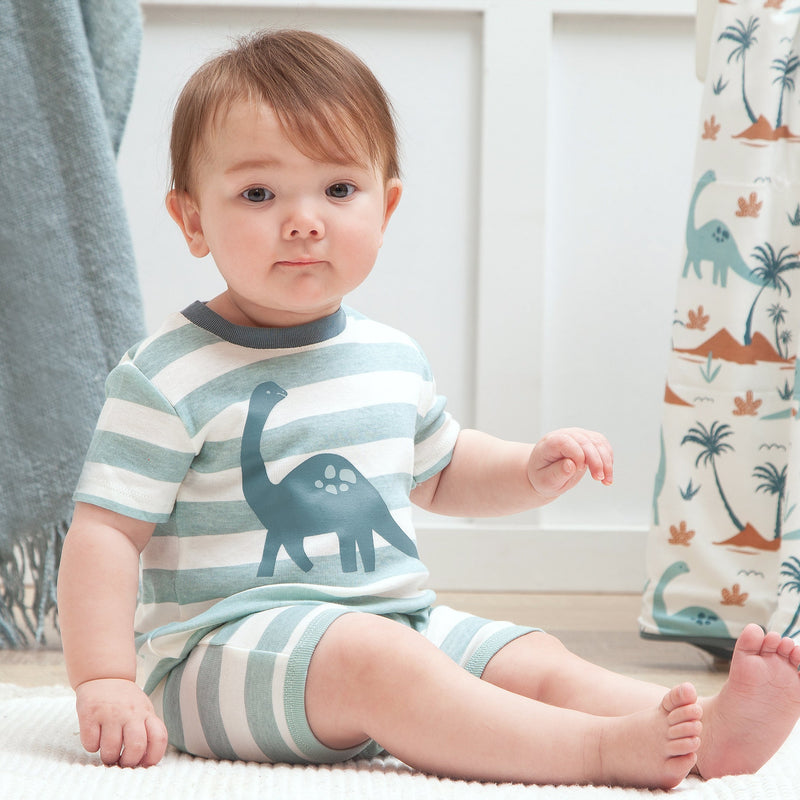 Tesa Babe Baby Boy Clothes Aqua Stripe Shortie Dinosaur Romper