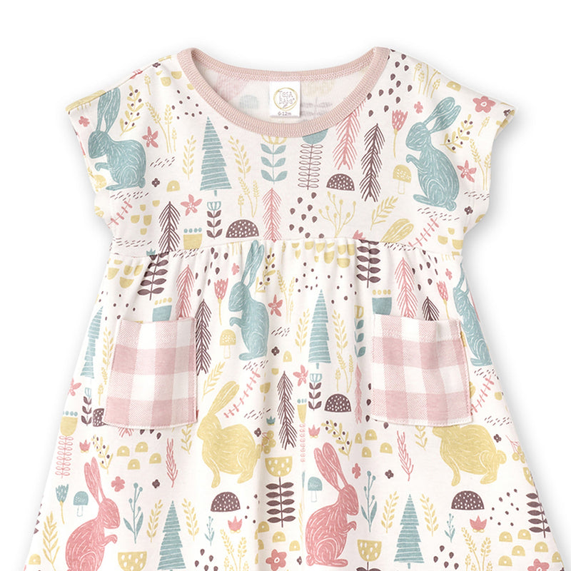Tesa Babe Baby Girl Clothes Hunny Bunny Dress