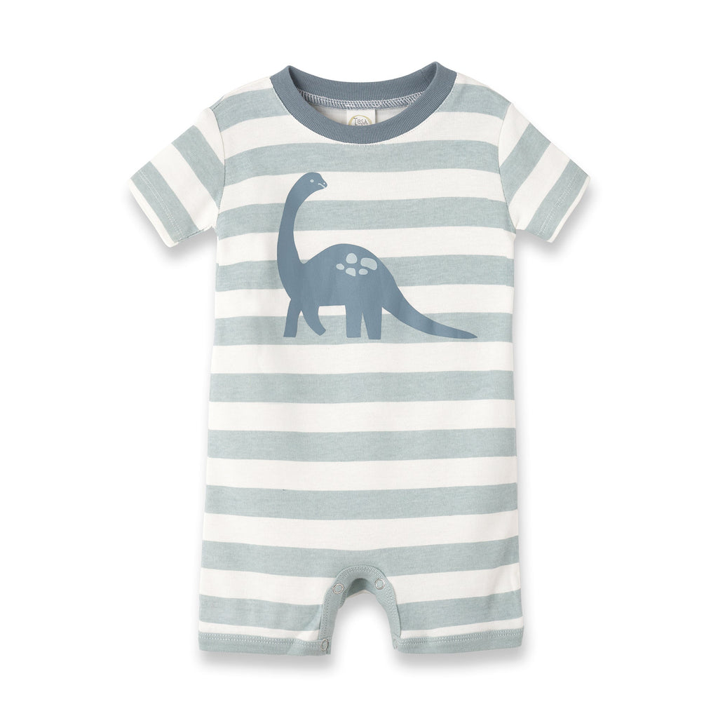 Tesa Babe Baby Boy Clothes Romper / 0-3M Aqua Stripe Shortie Dinosaur Romper