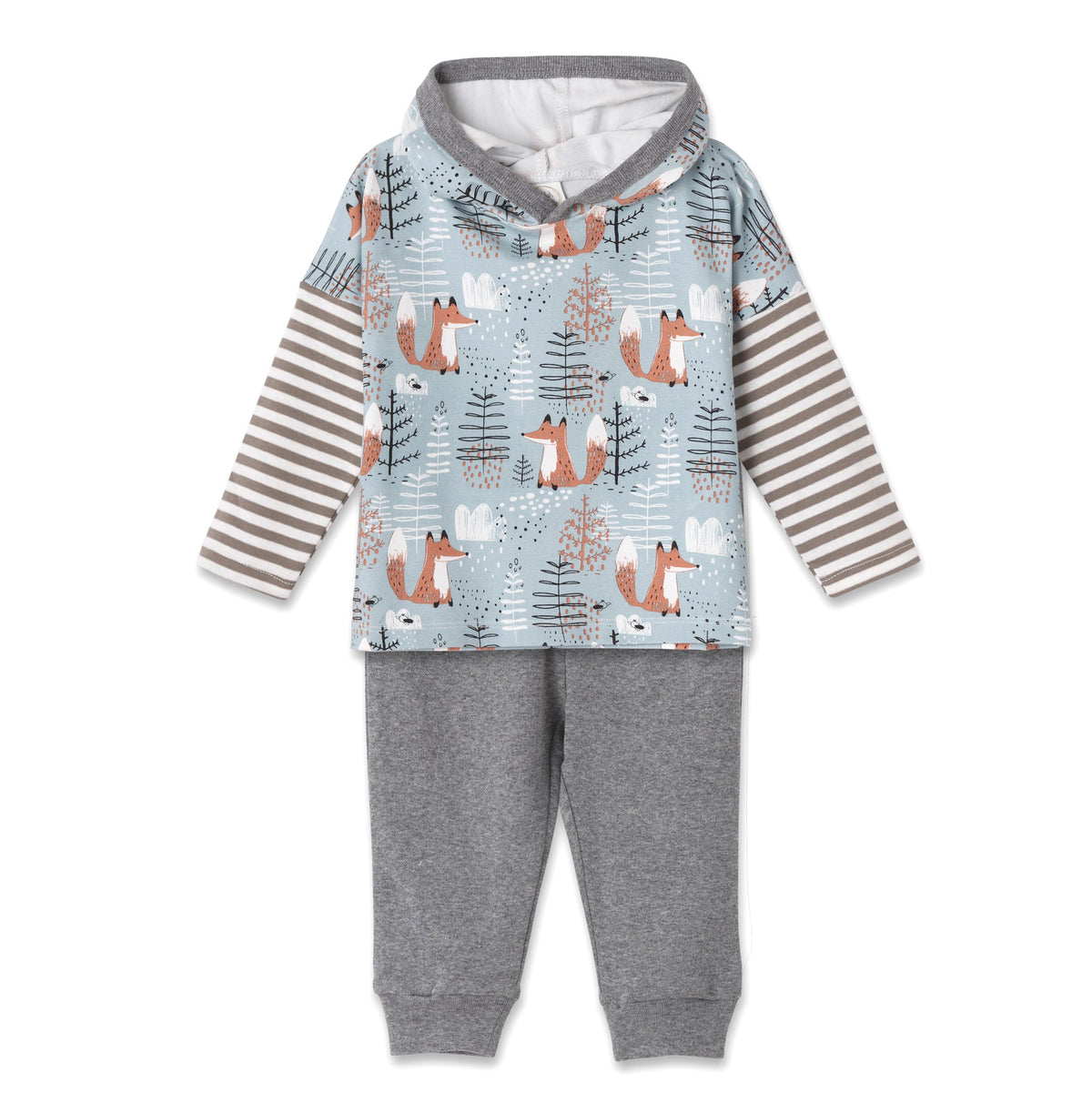 Tesa Babe Baby Boy Clothes Set / 3-6M Foxy Forest Hooded Top & Pants