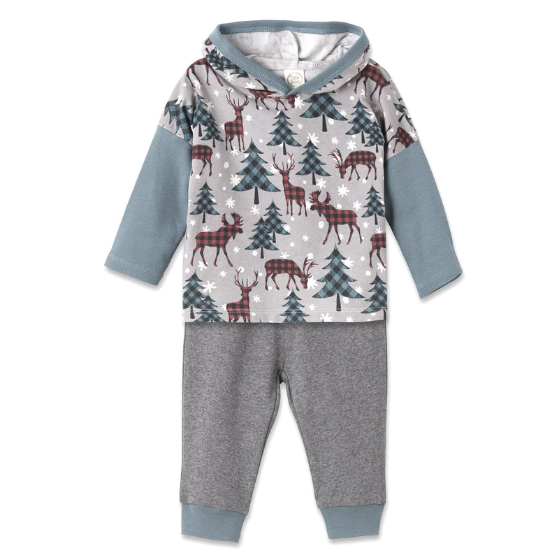 Tesa Babe Baby Boy Clothes Set / 3-6M Nordic Pines Hooded Top & Pants