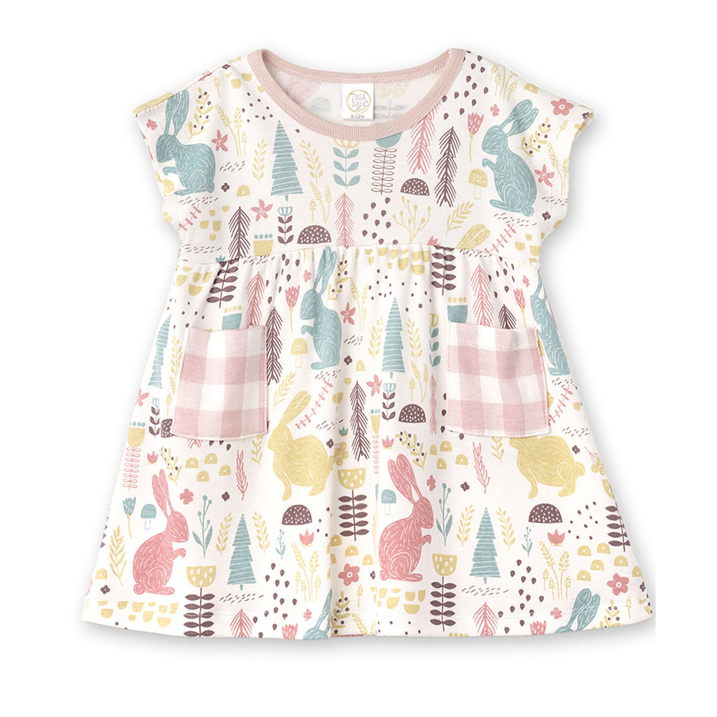 Tesa Babe Baby Girl Clothes Hunny Bunny Dress