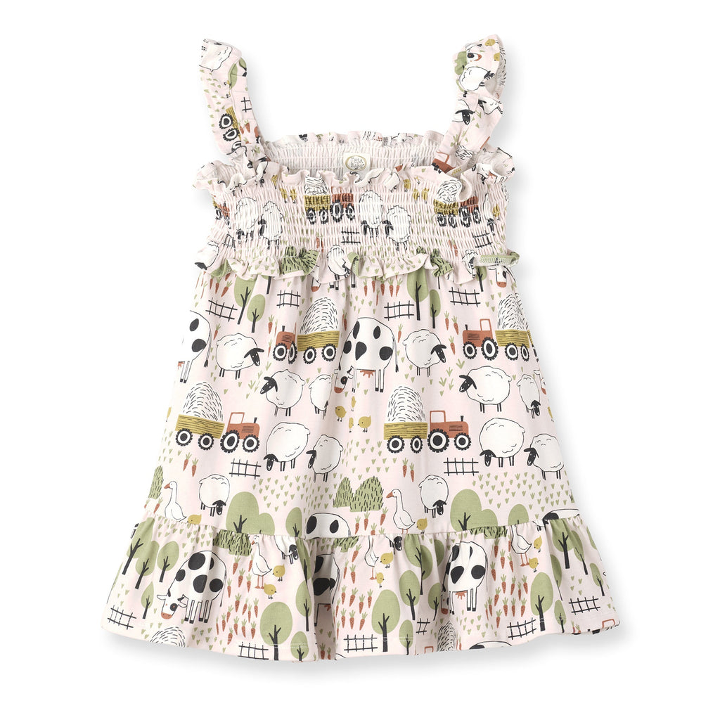 Tesa Babe Baby Girl Clothes Dress / 3-6M Smocked Farm Dress