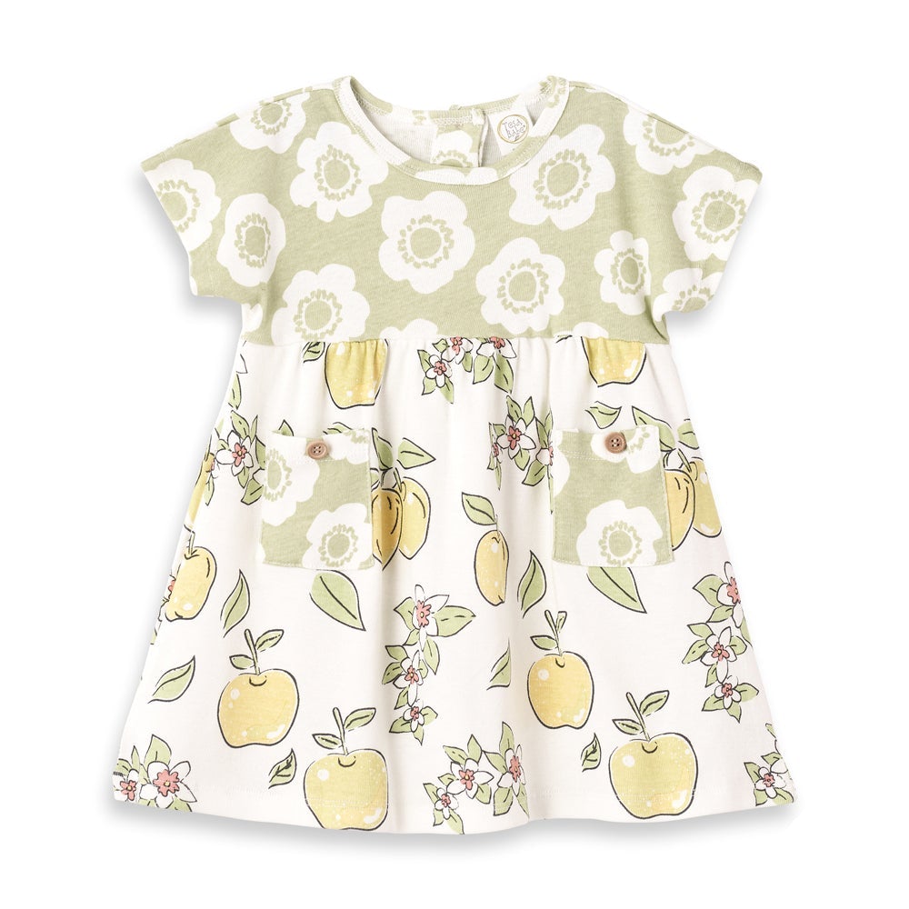 Tesa Babe Baby Girl Clothes Apple Blossoms Baby Girl Dress