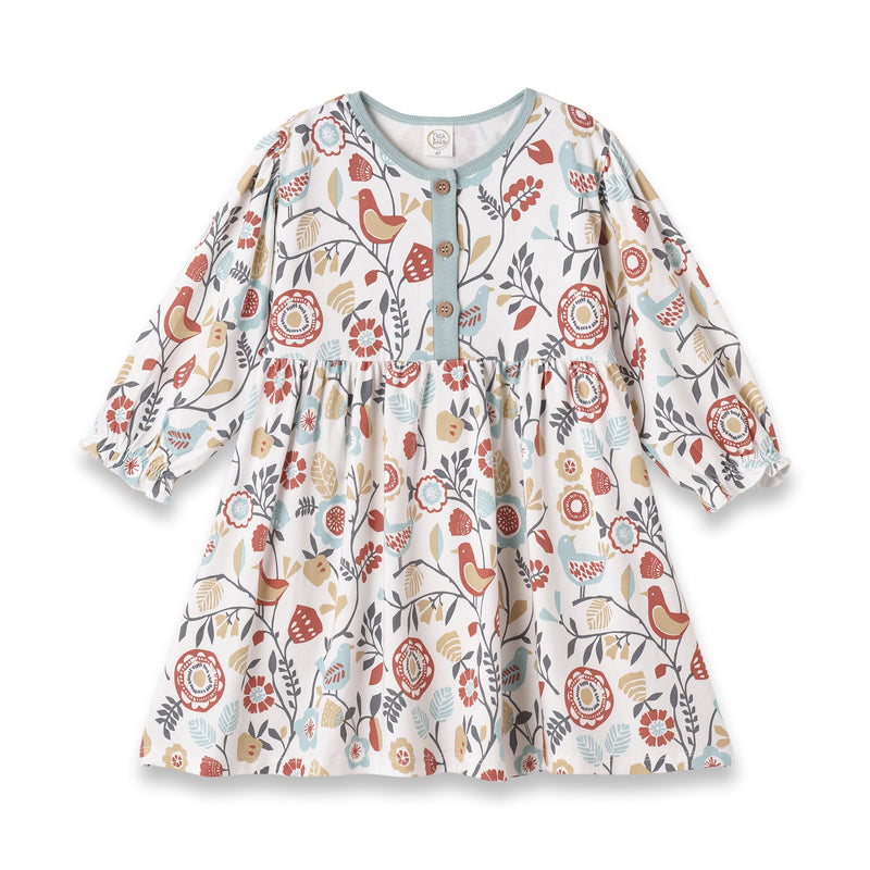 Tesa Babe Baby Girl Clothes 3-6M / Dress Folklore Elastic Ruffle LS Henley Dress